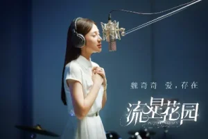 爱存在吉他谱-魏奇奇/王靖雯-C调版-《流星花园》插曲