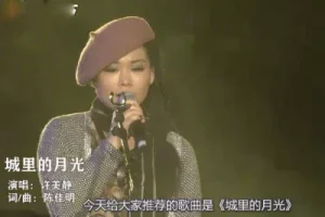 城里的月光吉他谱-许美静-D调原版弹唱谱-图片谱