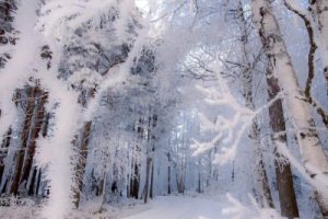 雪之梦指弹吉他谱-班得瑞-G调独奏高清六线谱