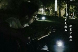 不是因为寂寞才想你吉他谱-王小帅-C调吉他弹唱六线谱