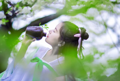 熊七梅《诗酒春风简谱》-C调歌曲简谱