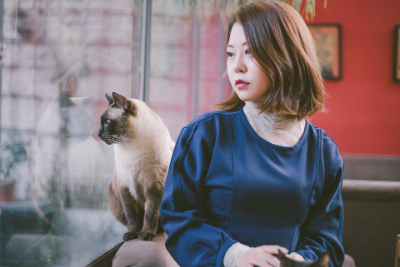 岁月忽已暮吉他谱-房东的猫-G调原版吉他图谱 岁月忽已暮吉他谱-房东的猫-G调原版吉他图谱
