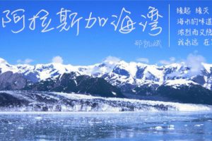 蓝心羽《阿拉斯加海湾吉他谱》G调原版弹唱谱