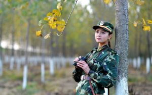 军中绿花简谱-黑鸭子组合-歌曲简谱