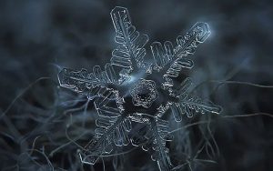 雪花简谱-张帅-G调歌曲简谱