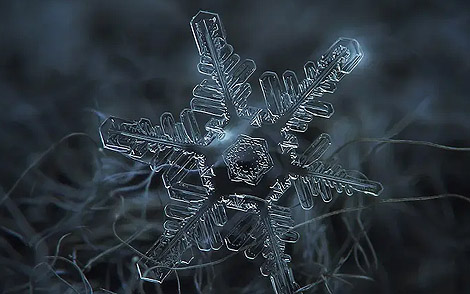 雪花简谱-张帅-G调歌曲简谱 雪花简谱-张帅-G调歌曲简谱