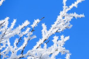 雪绒花吉他谱-儿歌-雪绒花C调六线图谱