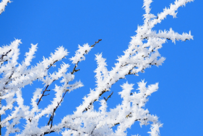 雪绒花吉他谱-儿歌-雪绒花C调六线图谱 雪绒花吉他谱-儿歌-雪绒花C调六线图谱