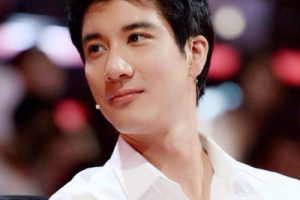 我们的歌吉他谱C调-王力宏-扫弦版编配