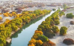 塔里木河简谱-王洛宾