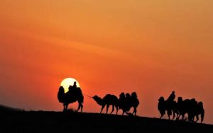 驼铃简谱-吴增华-驼铃F调歌曲简谱