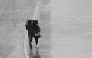 风雨同路路简谱-B调旋律简谱