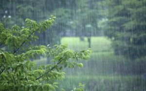 相思风雨中简谱-白杨-E调歌曲简谱