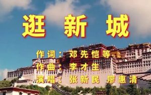 逛新城简谱-F调二胡旋律简谱