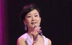 大地飞歌简谱-宋祖英-D调歌曲简谱