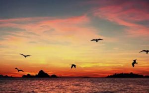 天上人间会相逢简谱-刘盼-C调歌曲简谱