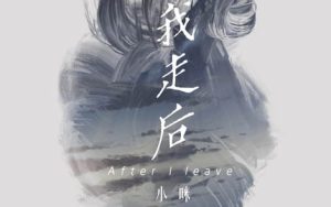 我走后吉他谱-小咪-我走后C调原版指法-弹唱六线谱