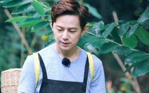 栀子花开简谱-何炅-栀子花开E调歌曲简谱