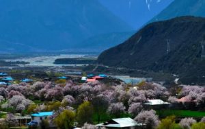 美丽神奇的地方简谱-张燕-A调歌曲简谱