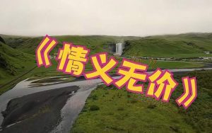 情义无价简谱-李玲玉-情义无价A调歌曲简谱