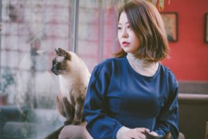 房东的猫《在无常中抛下一个锚点吉他谱》G调