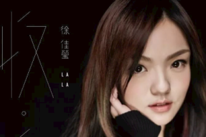 徐佳莹《一样的月光吉他谱》G调原版吉他谱