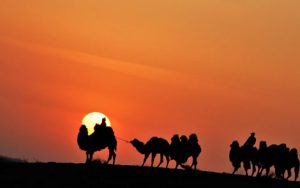 驼铃简谱(歌词)-许岚岚-F调歌曲简谱