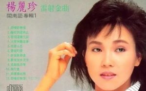 离别时情依依简谱-杨丽珍-D调歌曲简谱