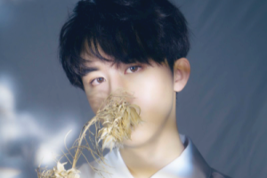 白羊吉他谱-徐秉龙-白羊C调精选原版弹唱谱