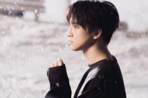 薛之谦《陪你去流浪吉他谱》C调原版