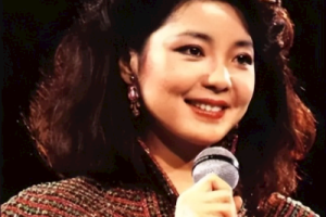 邓丽君《恰似你的温柔吉他谱》C调原版