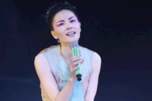 梦中人吉他谱-王菲-梦中人C调扫弦编配六线谱