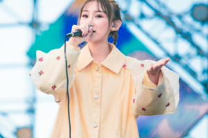 白山茶吉他谱-陈雪凝《白山茶》C调完整原版弹唱谱