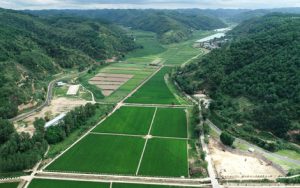 南泥湾简谱(歌词)-郭兰英-G调歌曲简谱