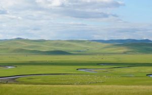 呼伦贝尔大草原简谱(歌词)-降央卓玛-F调歌曲简谱