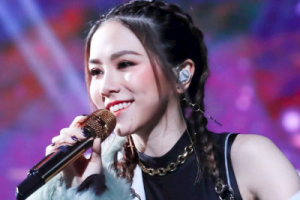 邓紫棋《红蔷薇白玫瑰吉他谱》C调原版