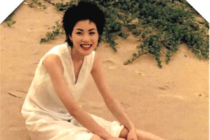 王菲《但愿人长久吉他谱》C调弹唱谱