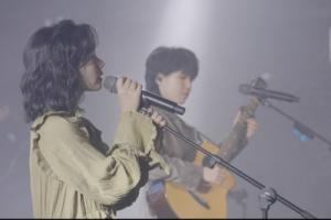 房东的猫《蝴蝶之夏吉他谱》C调原版