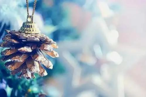 致橡树吉他谱-程天意《致橡树》C调图片谱-原版六线谱