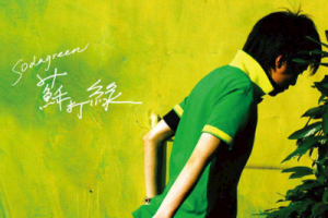 燕窝吉他谱-苏打绿-燕窝C调弹唱谱-简单版六线谱