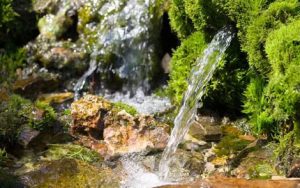 赞美之泉简谱-D调旋律简谱