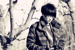 郑毅《贝多芬的悲伤吉他谱》C调原版