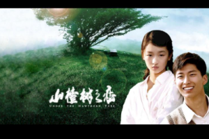 大能人《山楂树之恋吉他谱》G调原版