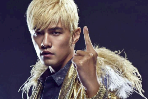 周杰伦《蒲公英的约定吉他谱》C调扫弦版