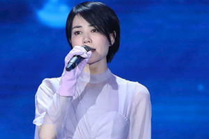 王菲《但愿人长久吉他谱》A调