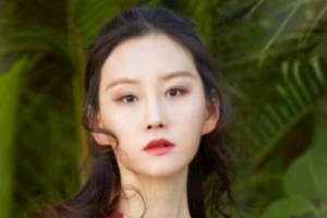 于潼《寂寞沙洲冷吉他谱》G调