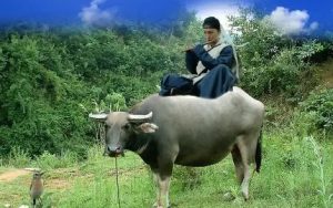 牧童短笛简谱-贺绿汀-C调歌曲简谱