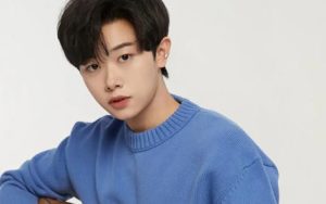 宋宇宁《那年年少吉他谱》C调扫弦版