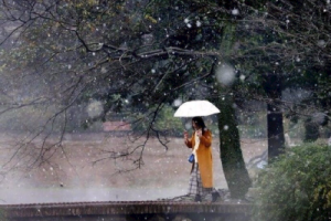 草木吉他谱-若以止白《草木》G调原版弹唱六线谱