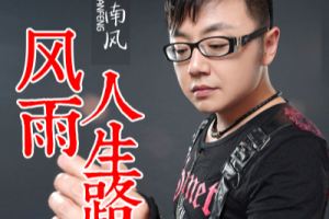 风雨人生路吉他谱-暴林/南风-G调原版弹唱谱